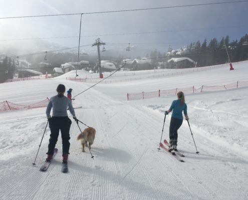 Millet Ski Touring with the Three Sarahs, Alfie and Tullah